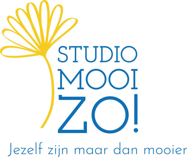 Bedrijfslogo van Studio Mooizo in Drachten